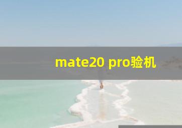 mate20 pro验机